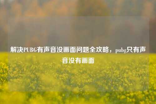 解决PUBG有声音没画面问题全攻略,pubg只有声音没有画面