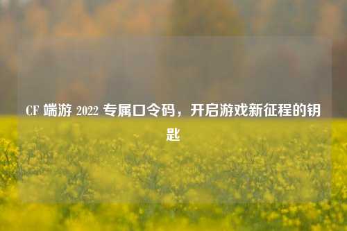 CF 端游 2022 专属口令码,开启游戏新征程的钥匙