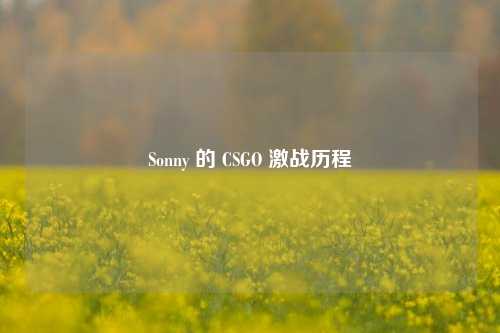 Sonny 的 CSGO 激战历程