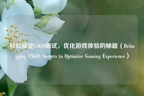 轻松搞定CSGO调试,优化游戏体验的秘籍(Debugging CSGO: Secrets to Optimize Gaming Experience)