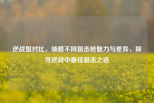 逆战狙对比,领略不同狙击枪魅力与差异,探寻逆战中更佳狙击之选