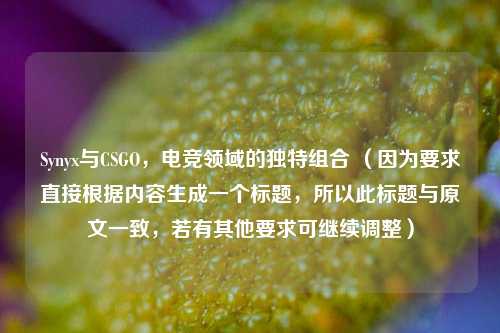 Synyx与CSGO,电竞领域的独特组合 (因为要求直接根据内容生成一个标题,所以此标题与原文一致,若有其他要求可继续调整)