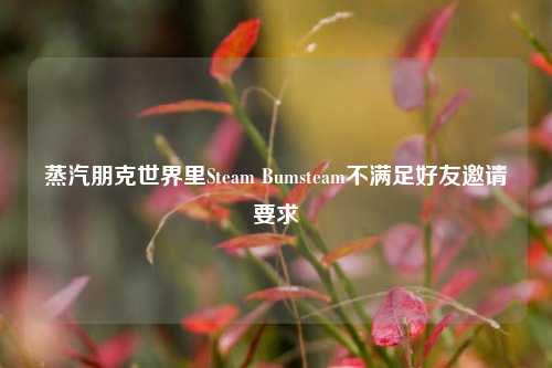 蒸汽朋克世界里Steam Bumsteam不满足好友邀请要求