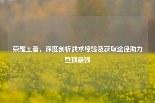 荣耀王者,深度剖析战术经验及获取途径助力登顶最强