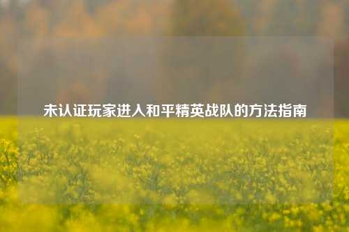 未认证玩家进入和平精英战队的 *** 指南