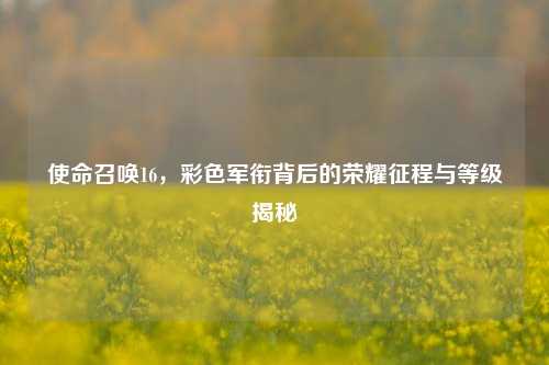 使命召唤16,彩色军衔背后的荣耀征程与等级揭秘