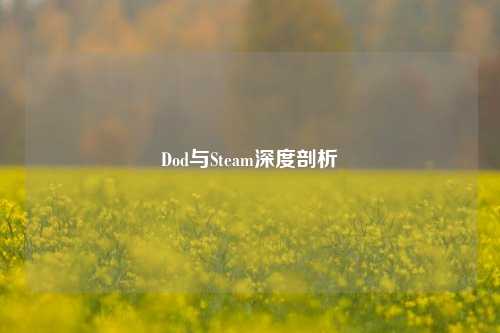 Dod与Steam深度剖析