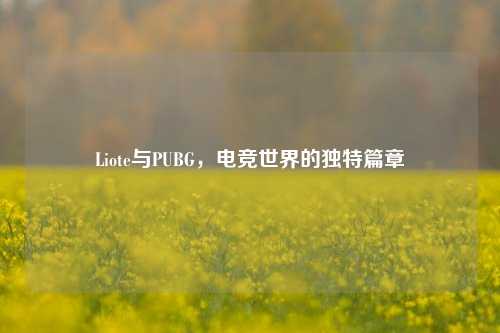 Liote与PUBG，电竞世界的独特篇章