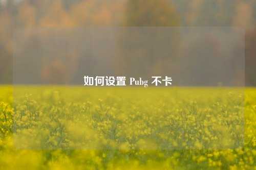 如何设置 Pubg 不卡