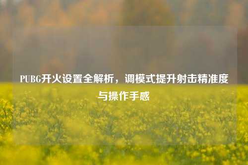 PUBG开火设置全解析，调模式提升射击精准度与操作手感