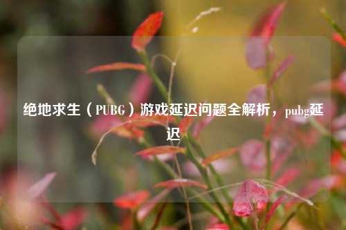 绝地求生（PUBG）游戏延迟问题全解析，pubg延迟