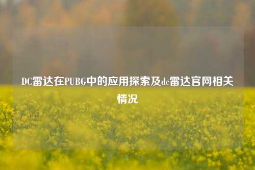 DC雷达在PUBG中的应用探索及dc雷达官网相关情况