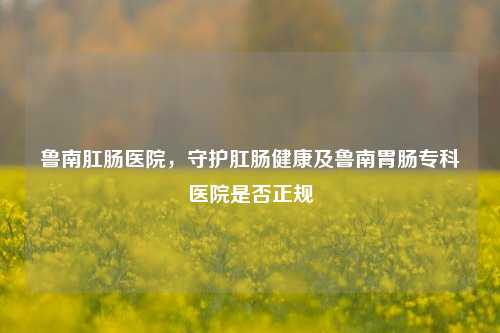 鲁南肛肠医院，守护肛肠健康及鲁南胃肠专科医院是否正规