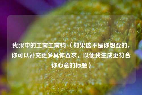 我眼中的王南王南钧 （如果这不是你想要的，你可以补充更多具体要求，以便我生成更符合你心意的标题）