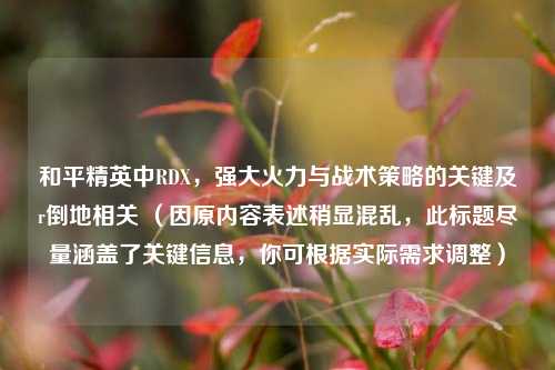 和平精英中RDX，强大火力与战术策略的关键及r倒地相关 （因原内容表述稍显混乱，此标题尽量涵盖了关键信息，你可根据实际需求调整）