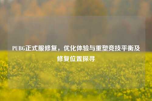 PUBG正式服修复，优化体验与重塑竞技平衡及修复位置探寻
