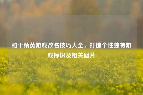 和平精英游戏改名技巧大全，打造个性独特游戏标识及相关图片
