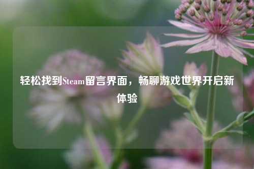 轻松找到Steam留言界面，畅聊游戏世界开启新体验