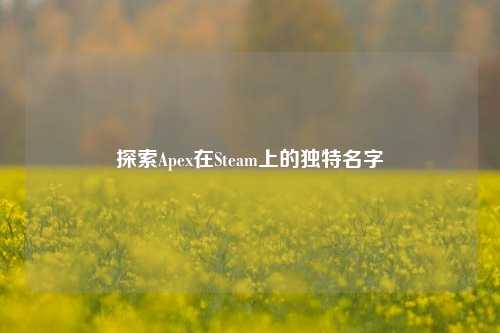 探索Apex在Steam上的独特名字