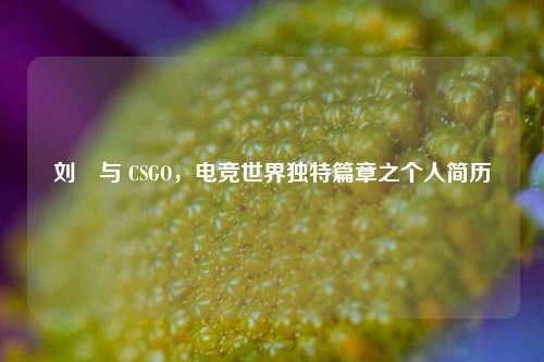 刘頔与 CSGO，电竞世界独特篇章之个人简历