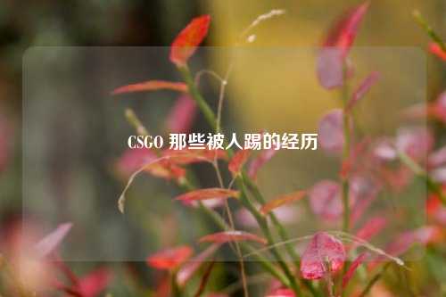 CSGO 那些被人踢的经历
