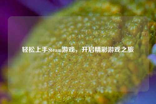 轻松上手Steam游戏，开启精彩游戏之旅