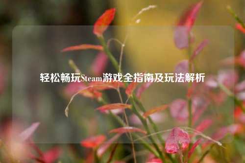 轻松畅玩Steam游戏全指南及玩法解析