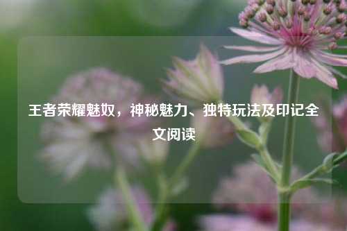 王者荣耀魅奴,神秘魅力、独特玩法及印记全文阅读