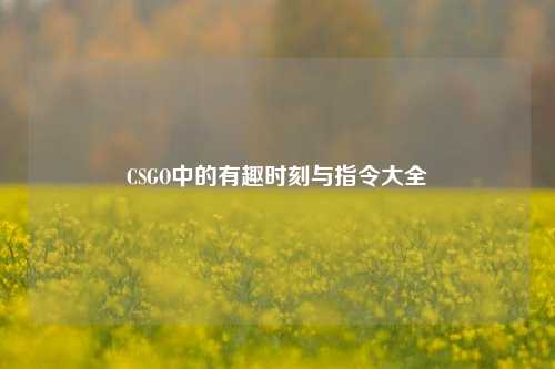 CSGO中的有趣时刻与指令大全