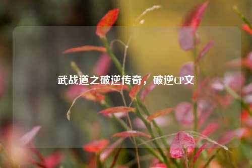 武战道之破逆传奇,破逆CP文