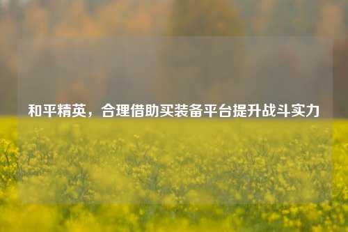 和平精英,合理借助买装备平台提升战斗实力