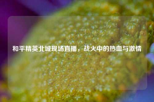 和平精英北城现场直播,战火中的热血与***