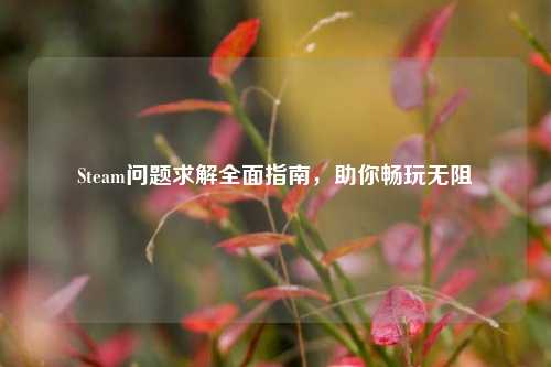 Steam问题求解全面指南,助你畅玩无阻