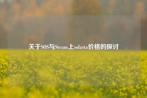 关于SOS与Steam上solasta价格的探讨