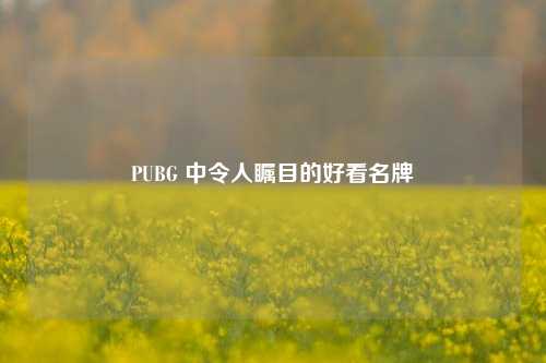 PUBG 中令人瞩目的好看名牌