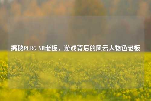 揭秘PUBG NH老板,游戏背后的风云人物色老板