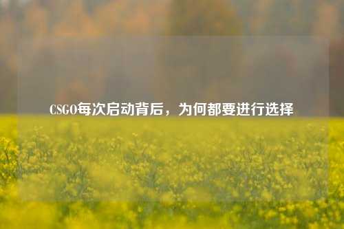 CSGO每次启动背后,为何都要进行选择