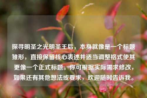 探寻明圣之光明圣王后,本身就像是一个标题雏形,直接保留核心表述并适当调整格式使其更像一个正式标题。你可根据实际需求修改,如果还有其他想法或要求,欢迎随时告诉我。