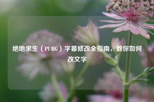 绝地求生(PUBG)字幕修改全指南,教你如何改文字