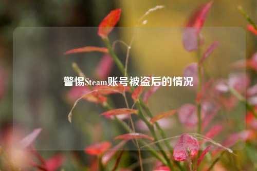 警惕Steam账号被盗后的情况