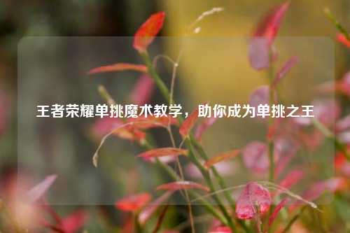 王者荣耀单挑魔术教学,助你成为单挑之王