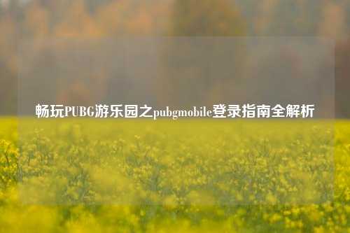 畅玩PUBG游乐园之pubgmobile登录指南全解析