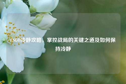 CSGO冷静攻略,掌控战局的关键之道及如何保持冷静