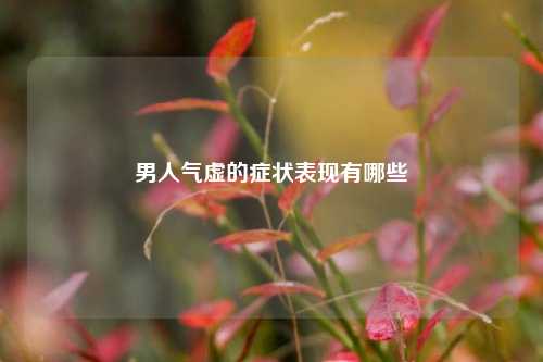 男人气虚的症状表现有哪些