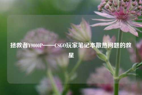 拯救者Y9000P——CSGO玩家笔记本散热问题的救星