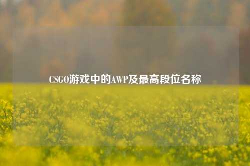 CSGO游戏中的AWP及更高段位名称