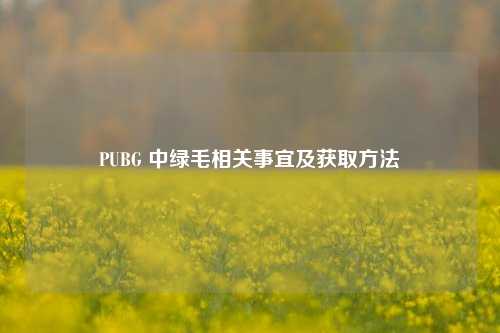 PUBG 中绿 *** 关事宜及获取 ***