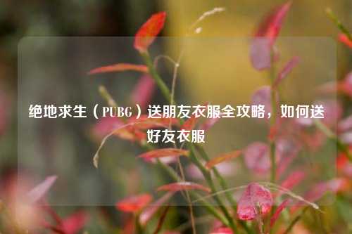 绝地求生(PUBG)送朋友衣服全攻略,如何送好友衣服