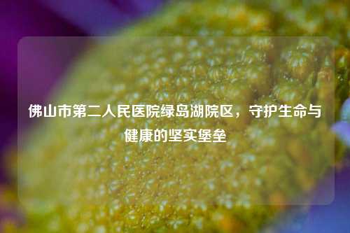 佛山市第二人民医院绿岛湖院区,守护生命与健康的坚实堡垒