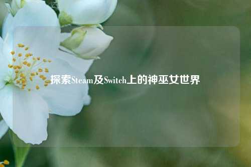 探索Steam及Switch上的神巫女世界